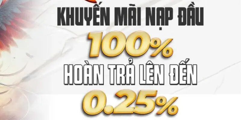 Chương trình hoàn trả khuyến mãi Daga88 xanh chín lên tới 0.25%